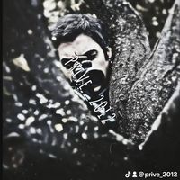prive_2012