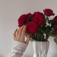 manar_q5