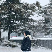 tntthv_