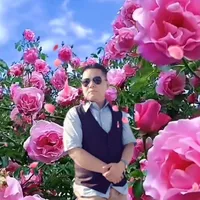 original sound - susillimbu