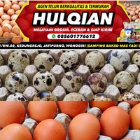 hulqiantelurofficial