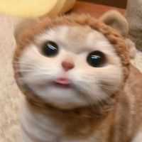 오리지널 사운드 - 골드다온