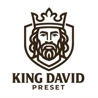 original sound - king_david_preset_shop