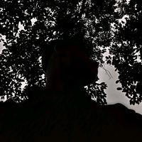 vanga_raza_12