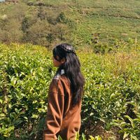 pratikshaa36
