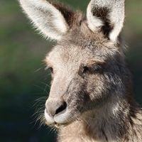 s.angelina.photography