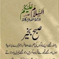 bushra.malik229