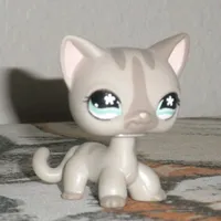 not allowed by tv girl