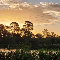 original sound - ymmlwx