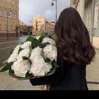 m_or1133