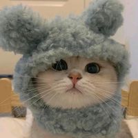 suara asli - i'm kevmistry ❄️