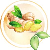 nhạc nền - Khương Y Đạo