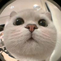 uwuboo_.0