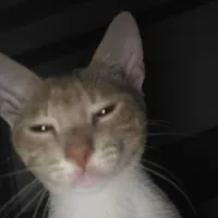 Em tặng anh cai ôm