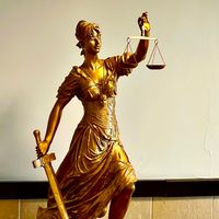 law_is_life