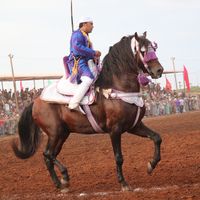 redouan_chahir