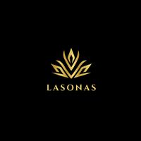 nhạc nền - LASONAS TEAM