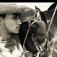 sonido original