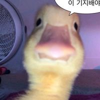 juyounchung
