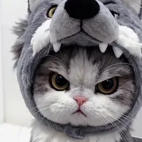 original sound - kiss9601