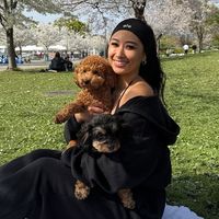 kimnvibes