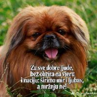 original sound - Volim Pekinezere
