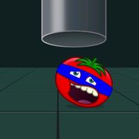 maxsolopro11