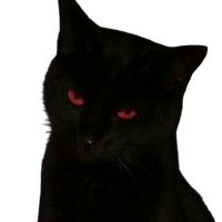 vampirxm
