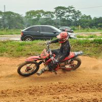 otaviogomes077