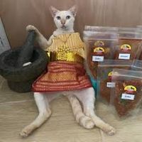 moo_reviwe1