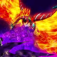clear.phoenix00054487