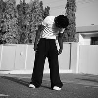 _zygote_04