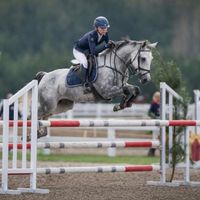 milla._equestrian