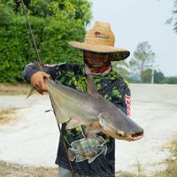 pam_25472