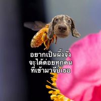 เสียงต้นฉบับ - CHUBBY