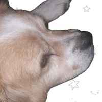 noahtequiero02