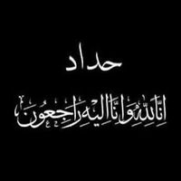 am_lolo91