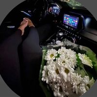 ck.queen1