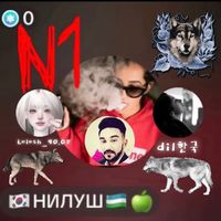 sherzod__6792.deputat.n1