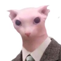 rinkucc2