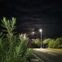 stananawkpl