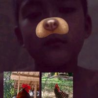 เสียงต้นฉบับ - โปรเเกรม