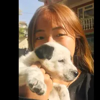 original sound - swaska24