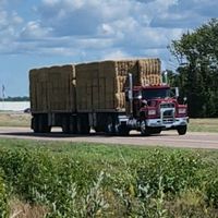 yourcanadianmoosehead