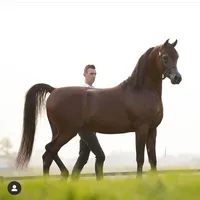 original sound - _ma1r