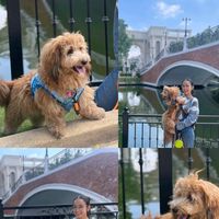 sethykar_withkenzo