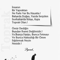 orijinal ses