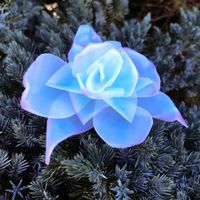 original sound - lemmi ♫· ̄·♪ ̧♩·♬