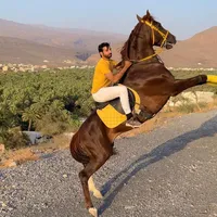 original sound - m.656_