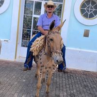 fernando.morais98